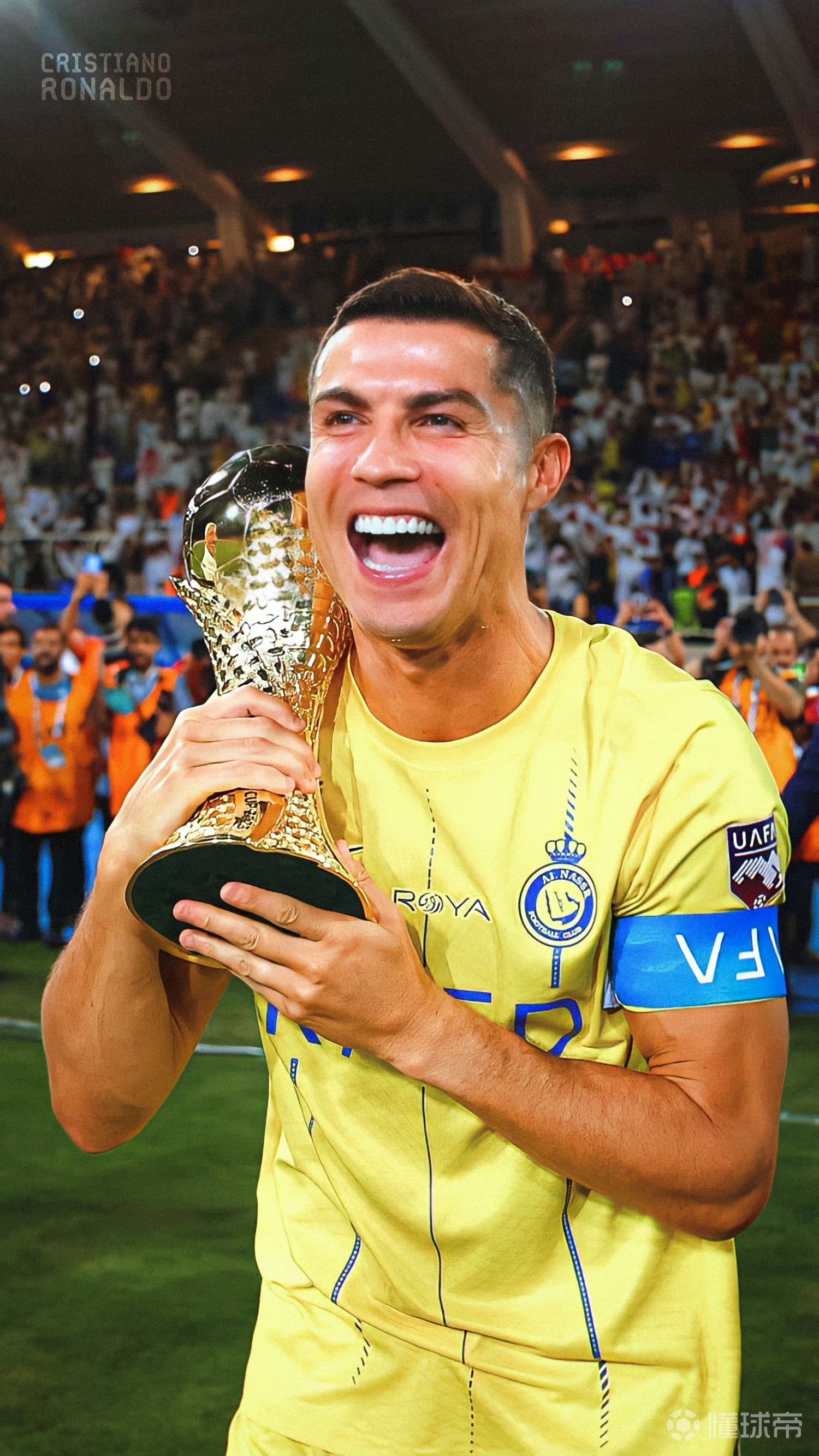 势分析的核 势分析的核